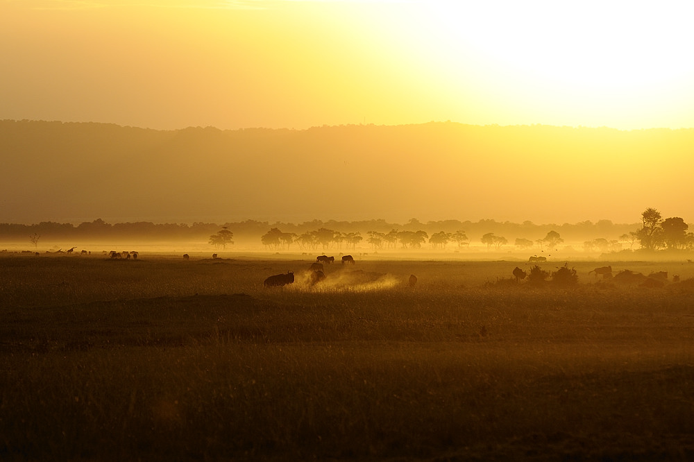 Sonnenuntergang in der Masai Mara