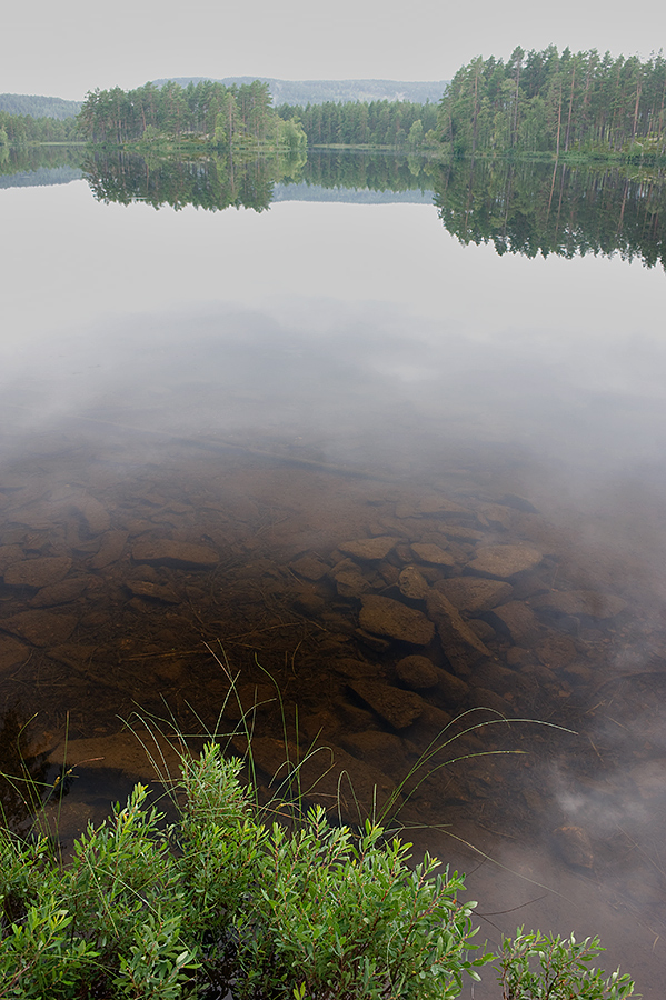 Waldsee in Südnorwegen