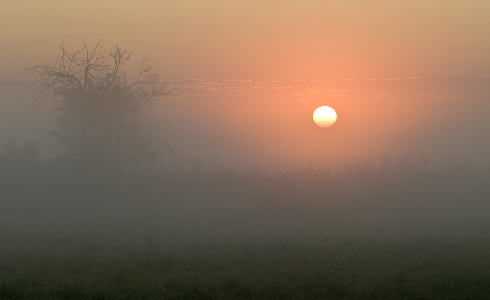 Sonnenaufgang im Nebel