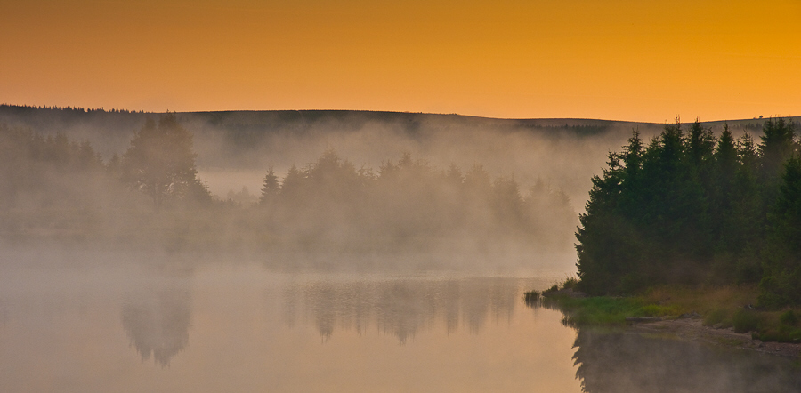 Morgennebel