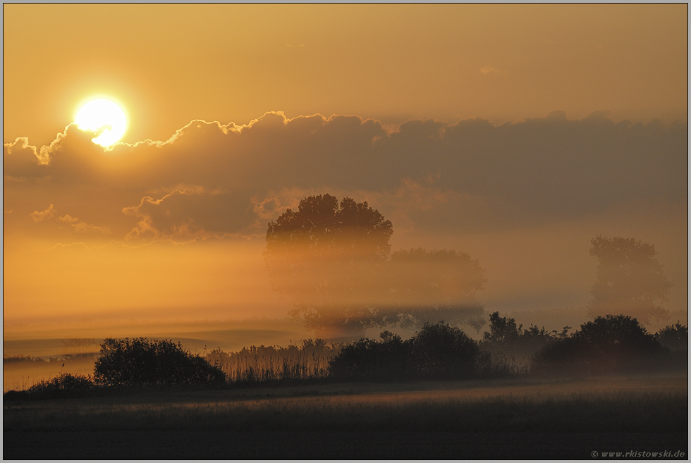 Zauberland... Sonnenaufgang *im Nebel*