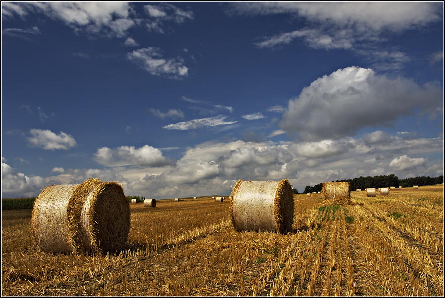 Augustlandschaft