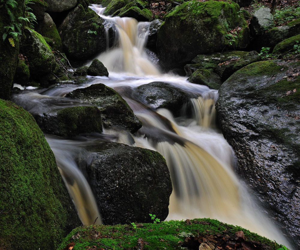 Ysperklamm I