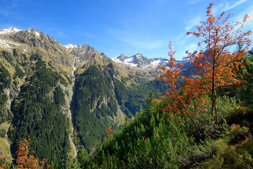 Es wird Herbst in der Steiermark!