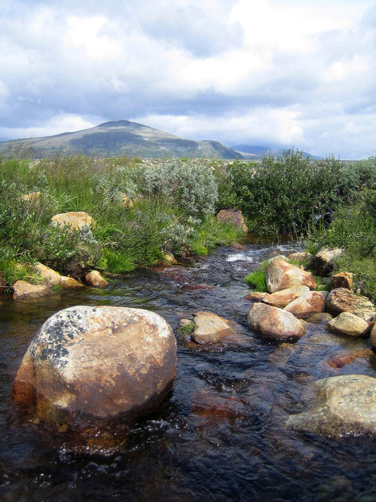 ~clean water in Dovrefjell~