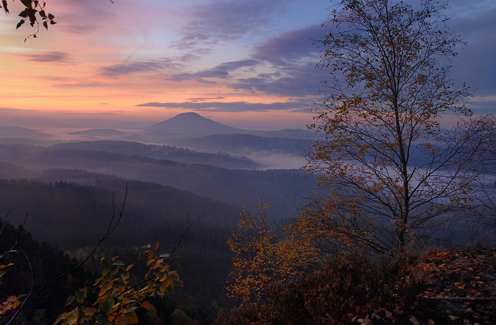 Die Zeit der Morgennebel  .  .  .