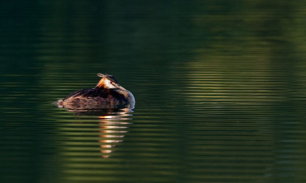 Haubi oder Spiegelung?