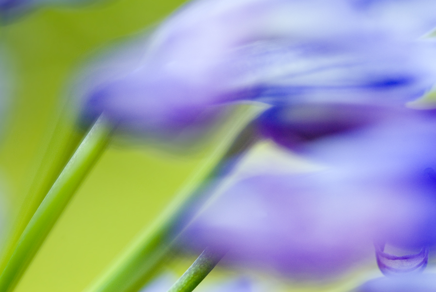 Blowing in the Wind