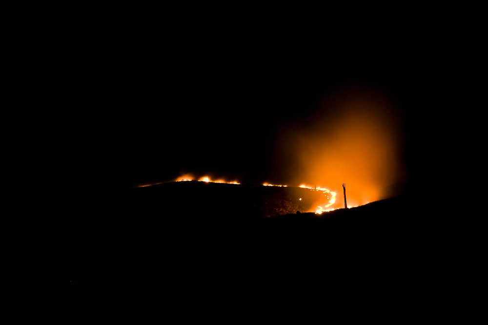 Buschfeuer