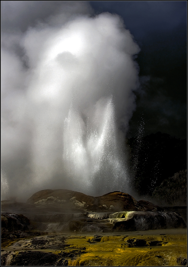 ein geysir in rotorua/ new zealand