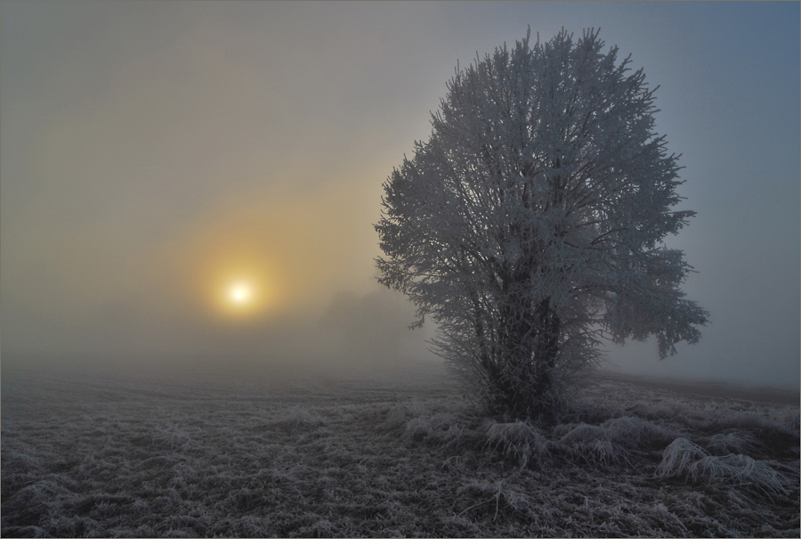 ~ Nebel und Raureif ~