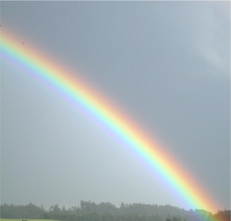 Regenbogen