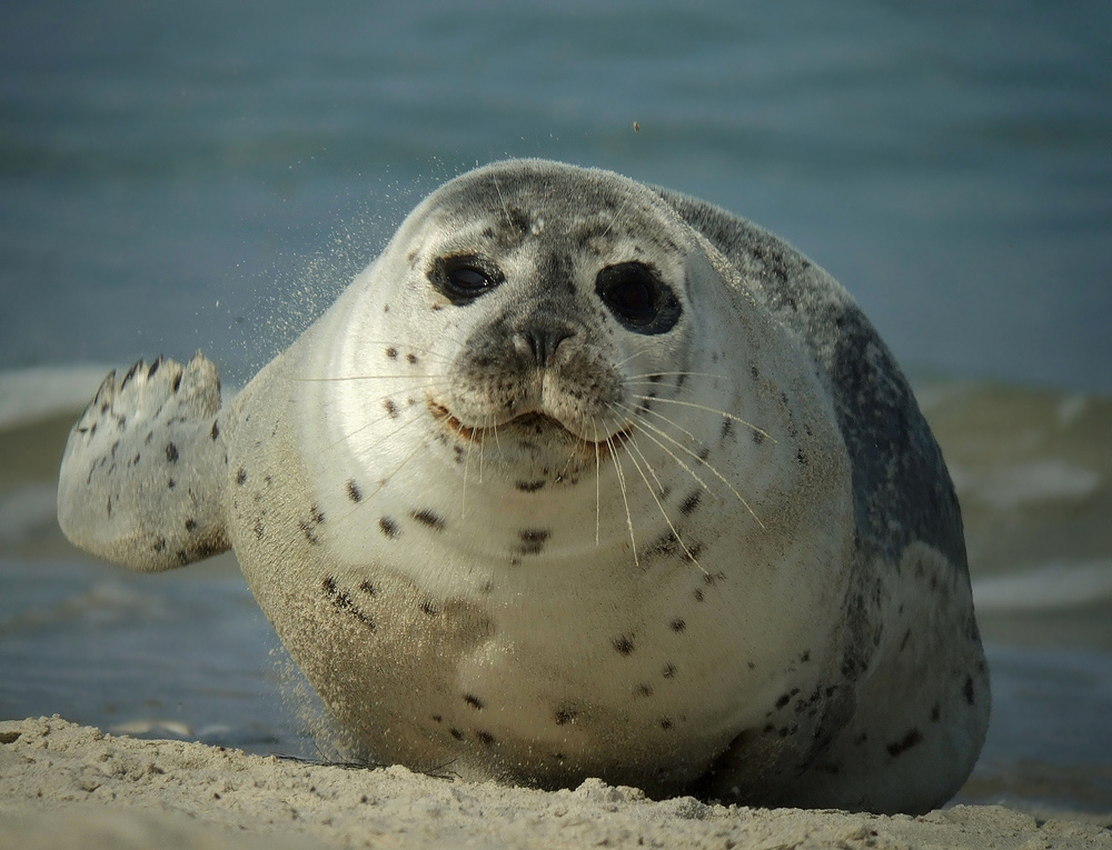 Willkommen am Strand