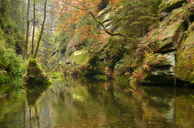Herbstimpression
