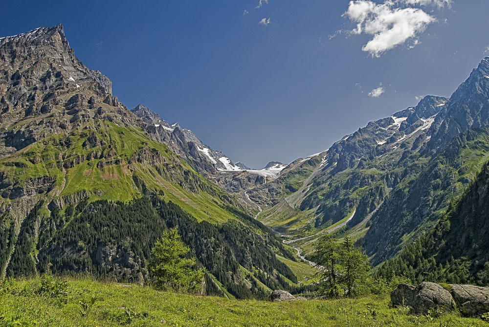 Kanderfirn Panorama