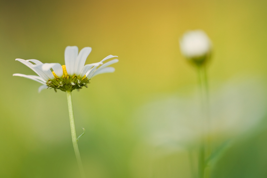 Abschied vom Sommer