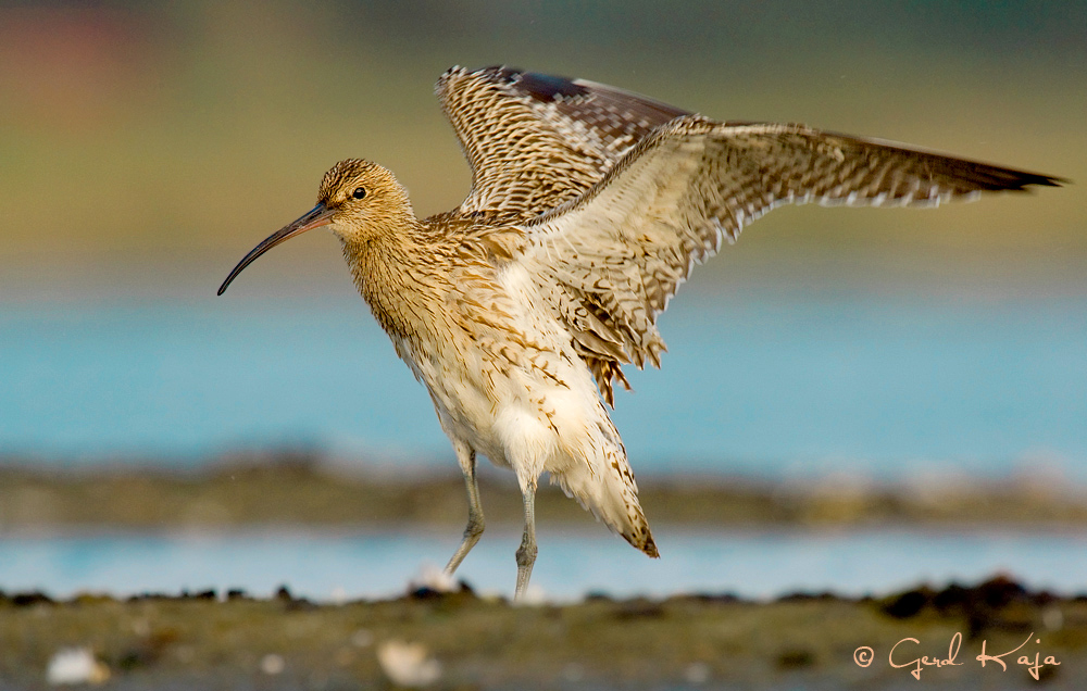 Ready for take-off