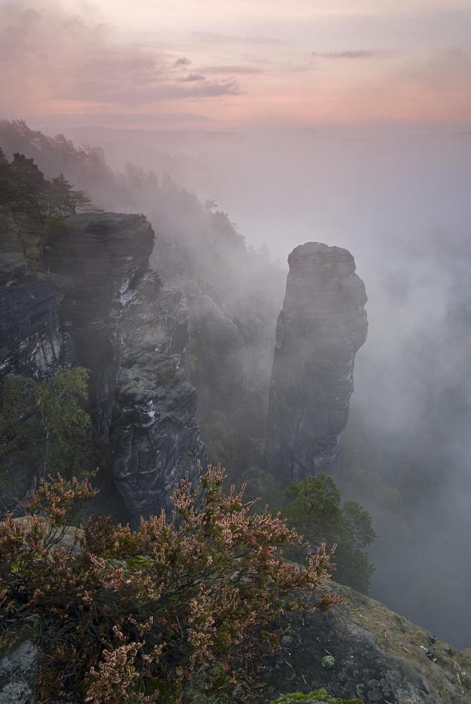 Höllenhund im Nebel