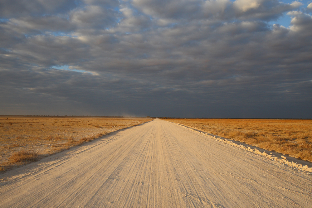 Etosha Pfanne