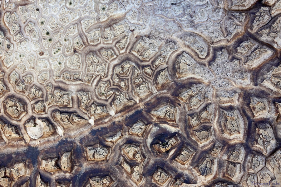 From Outer Space