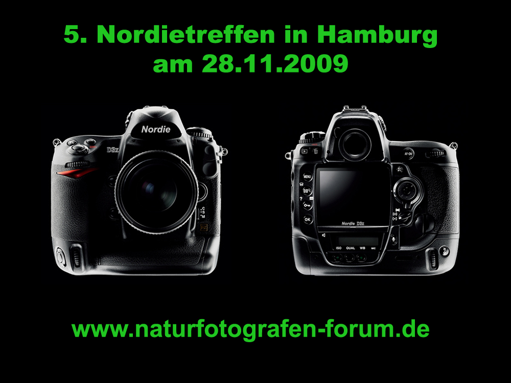 5. Nordietreffen 28.11.2009