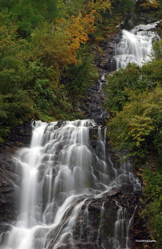 Wasserreich