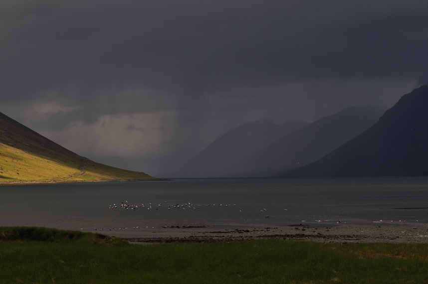 Westfjorde 2 - unmanipuliert