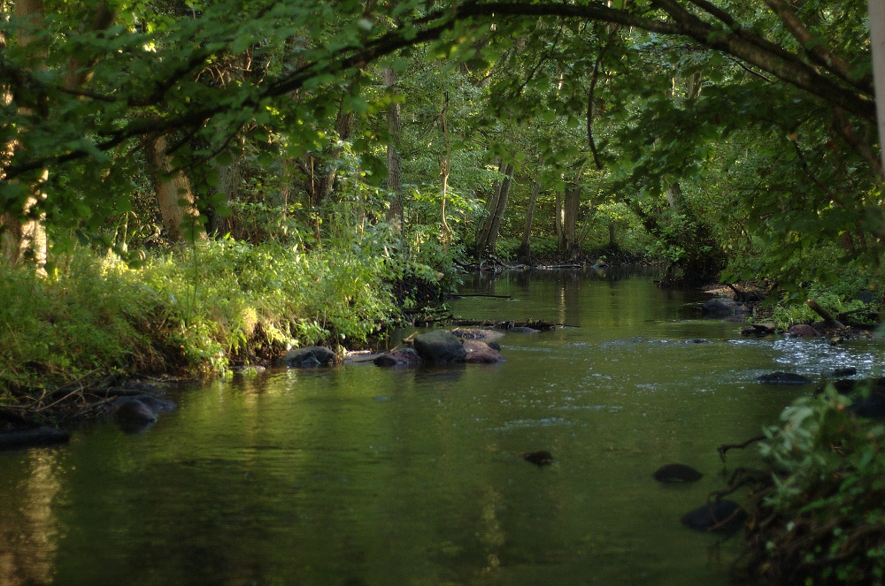 Wildwasser :)
