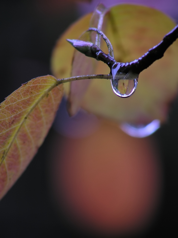 Schlechtes Wetter ...