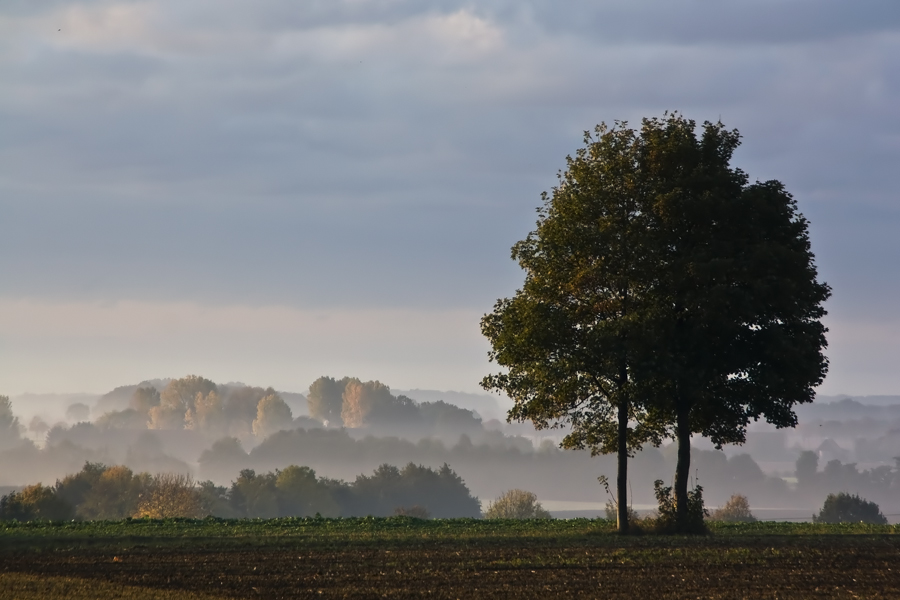 Im ersten Licht