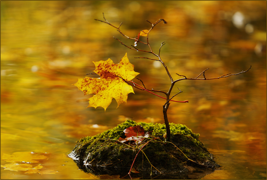 Herbst am See