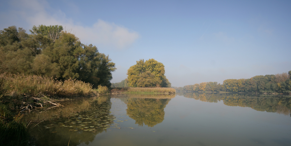 Kühwörter Herbst