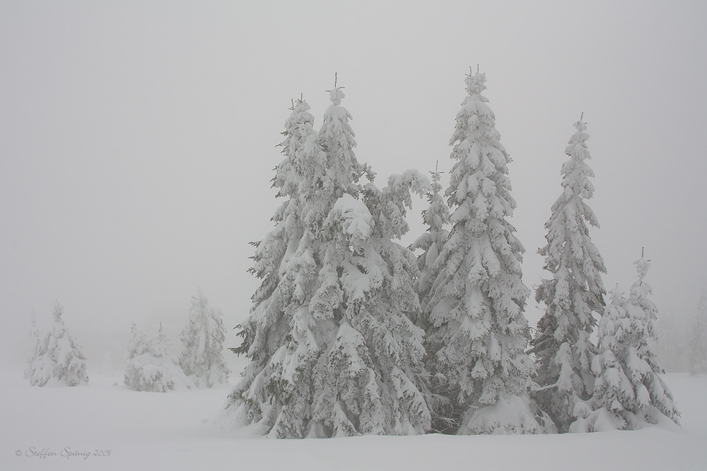 Stille - im Nebel