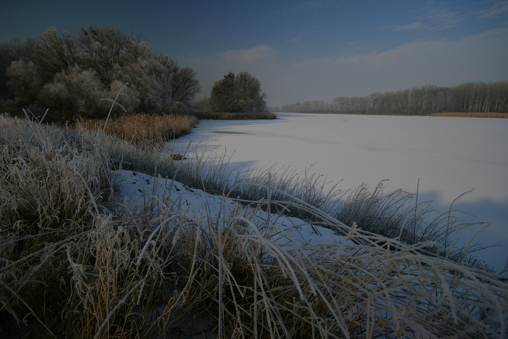 Kühwörter Winter