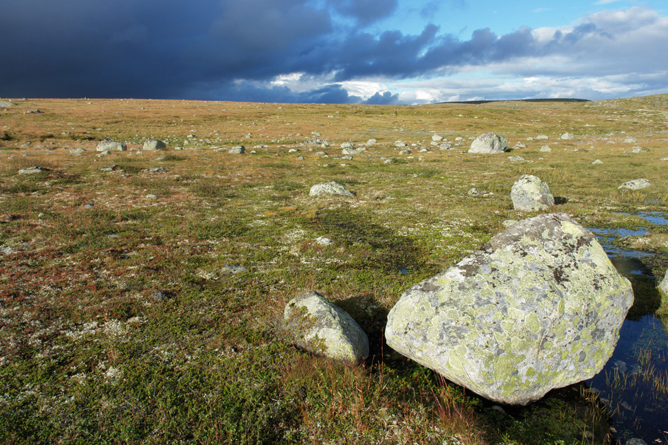 einsam 2 - Fjell mit Steinen