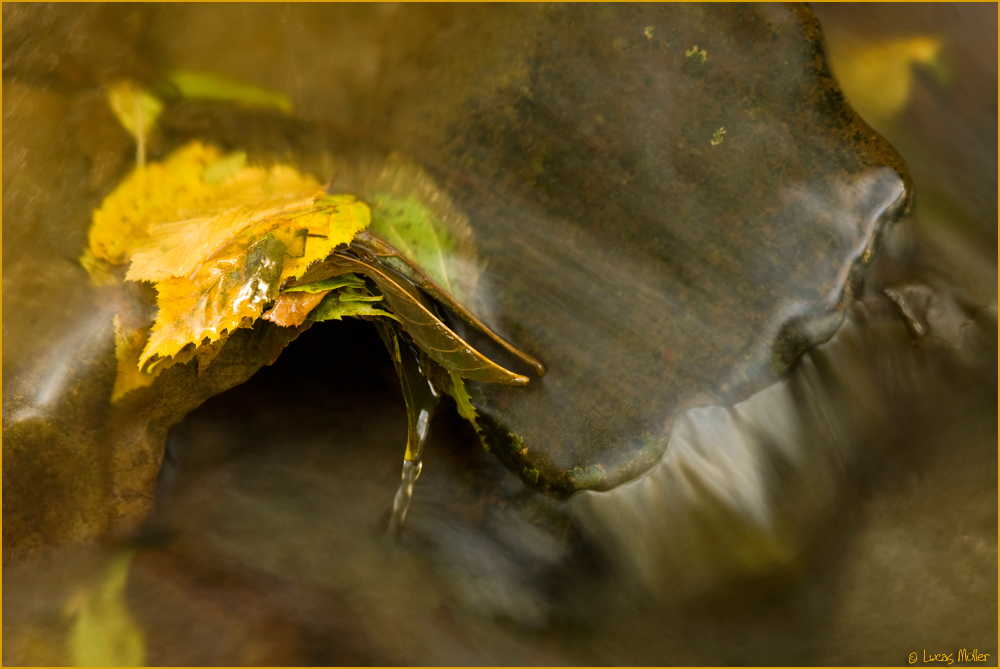 ~colours of autumn~