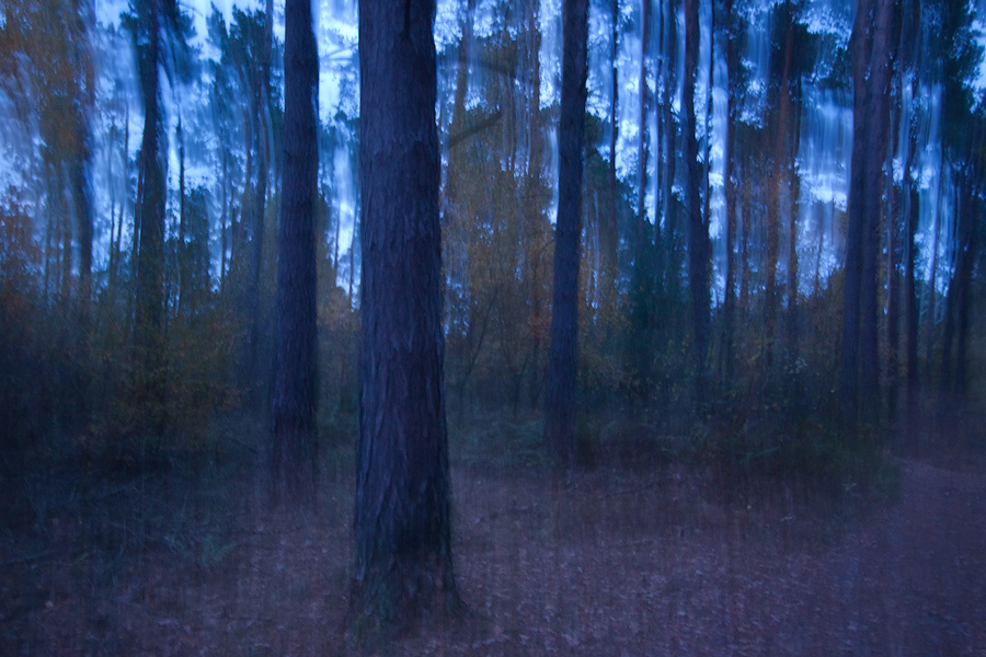 Herbstabend im Teutoburger Wald