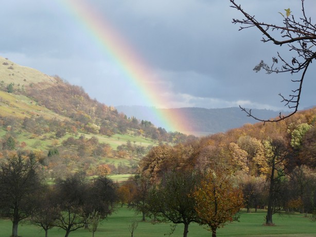 Regenbogenfragment.....