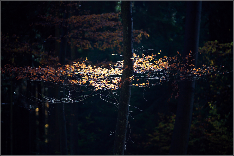 Lichtfleck