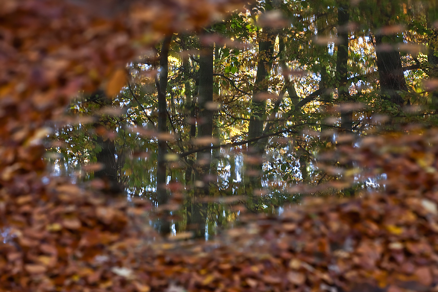 Blick hinüber