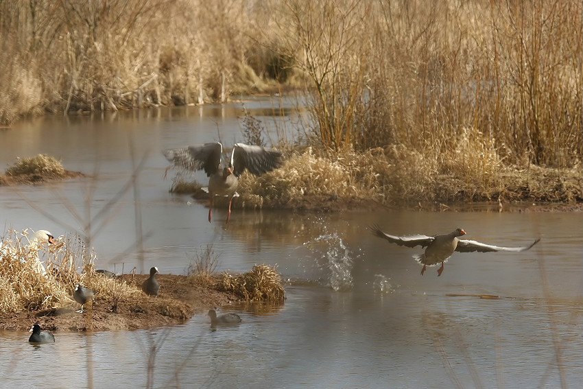 Bei uns im Moor