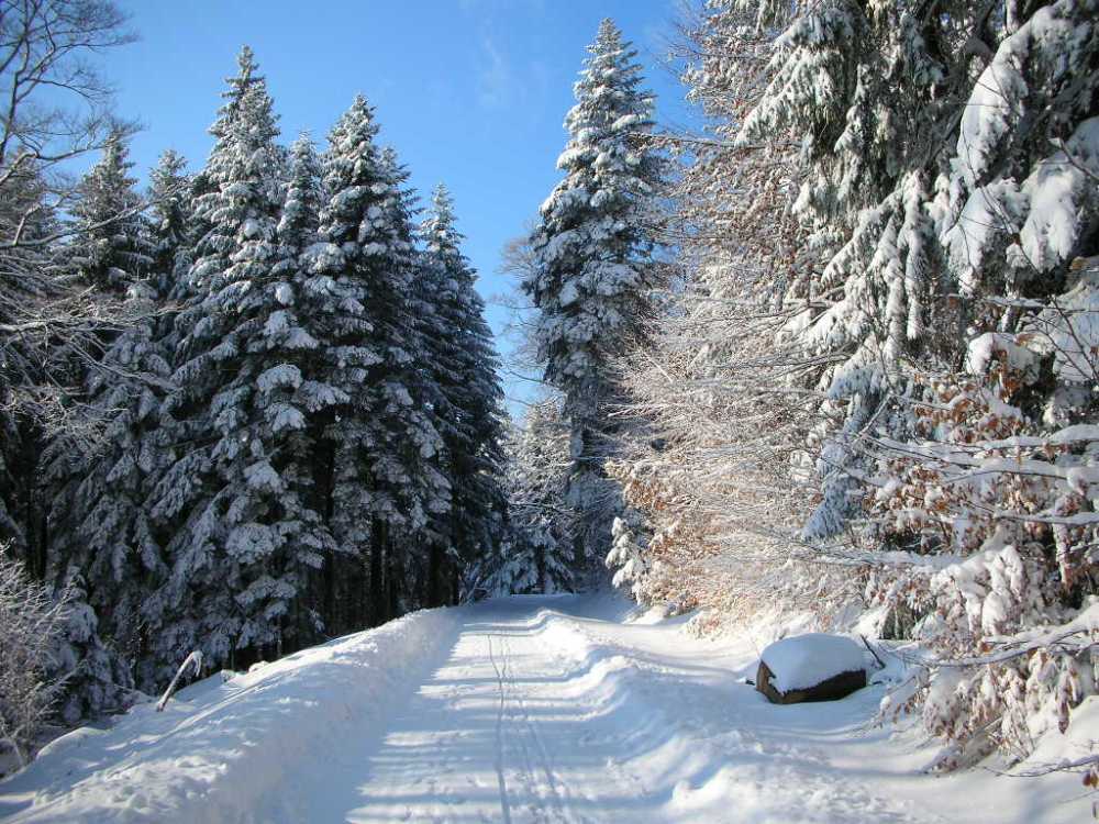 Schneelandschaft