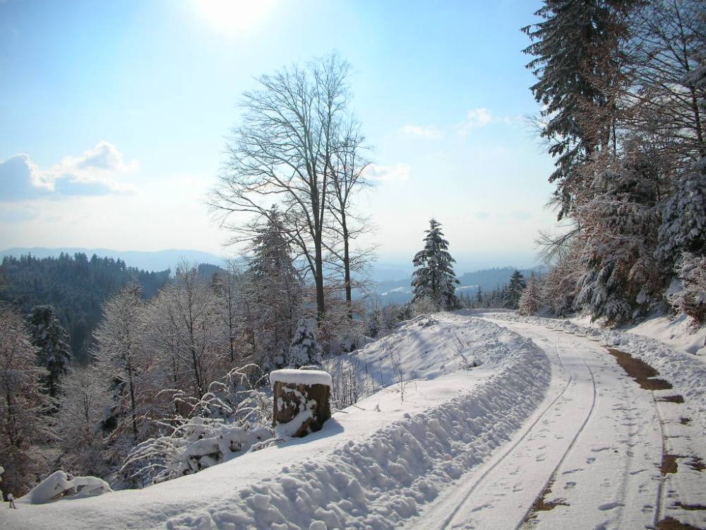 Schnee in den Bergen