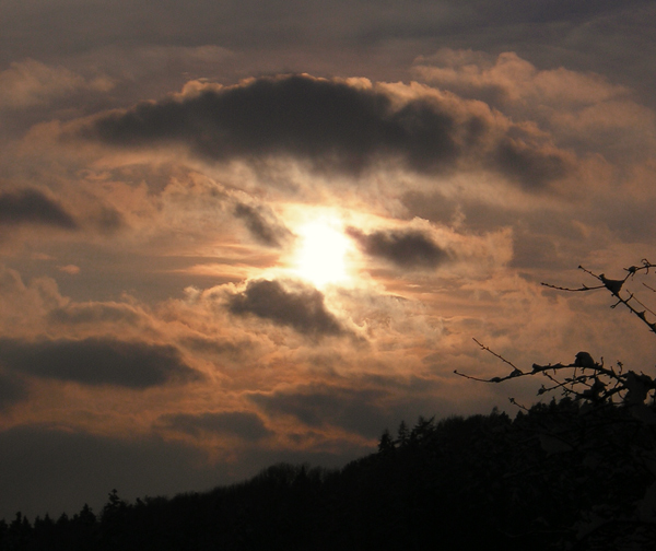 Sonnenuntergang beim Kürnberg Wald