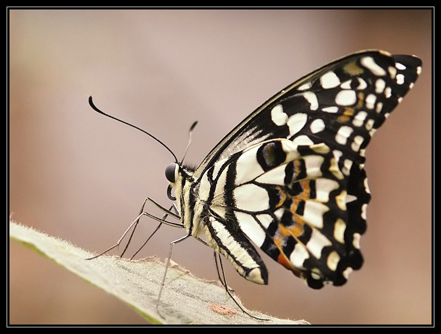 Abflugbereit