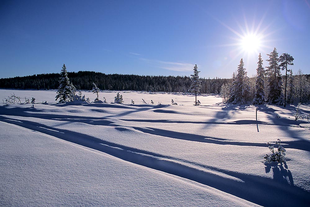 Winterimpression im Lappland