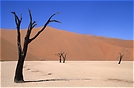 Deadvlei