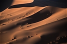 Düne in der Namib