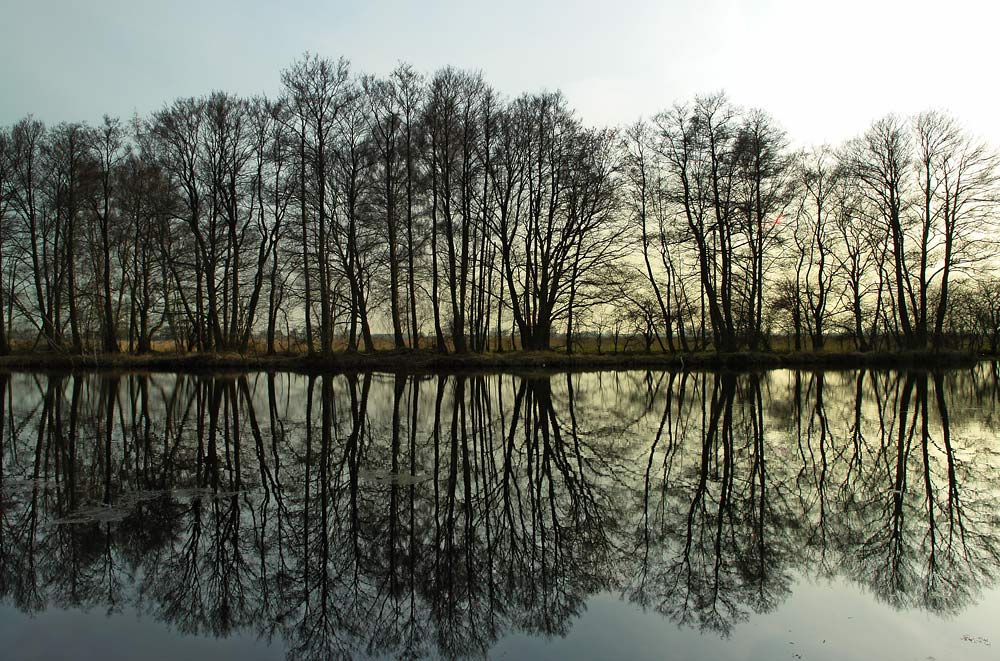 Am Weiher