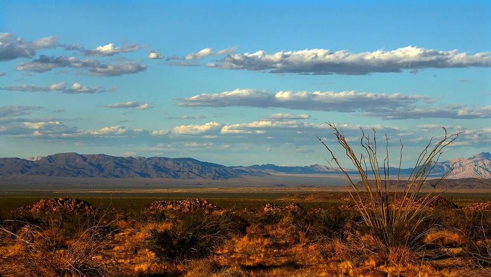 Yoshua Tree National Park ND